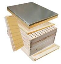 10 Frame Starter Kit with wood frames