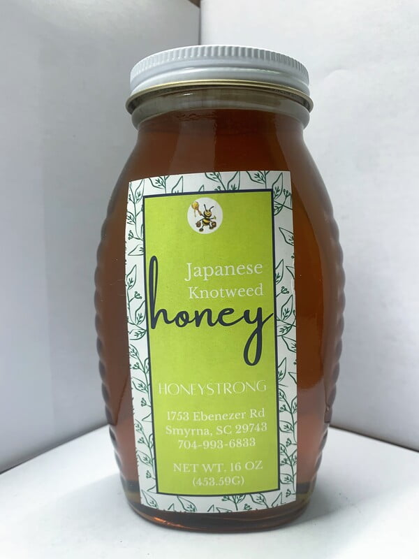 Japanese Knotweed honey Japanese Knotweed honey